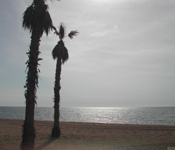 Apartment close to the beach
